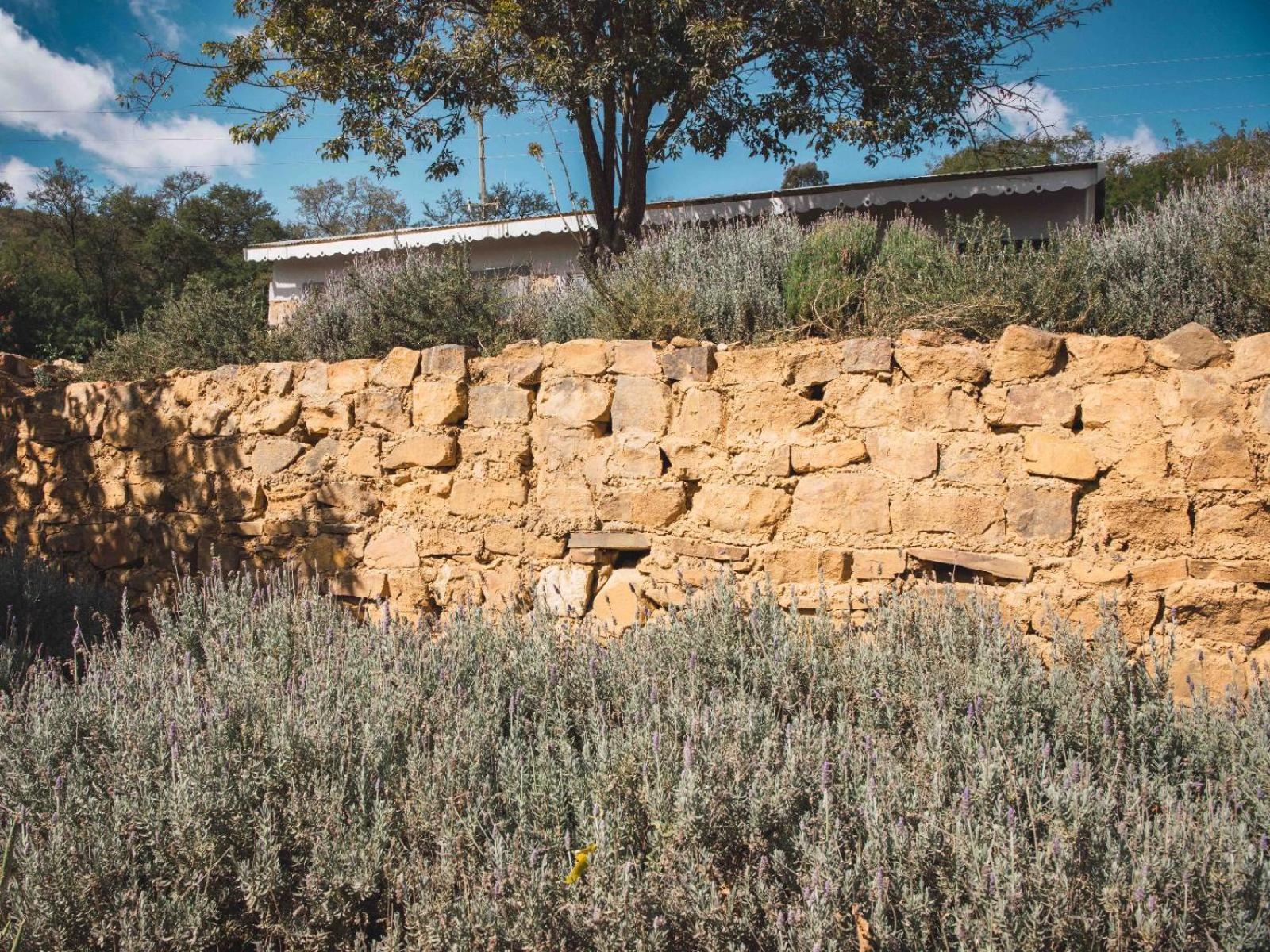 Riverbed Africa Lydenburg Εξωτερικό φωτογραφία