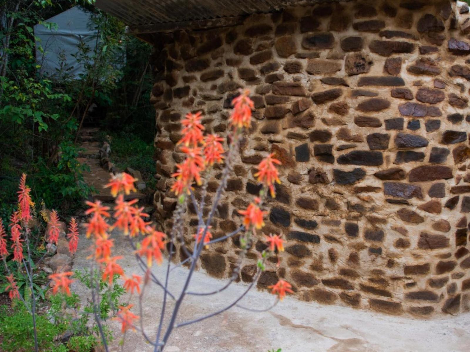 Riverbed Africa Lydenburg Εξωτερικό φωτογραφία