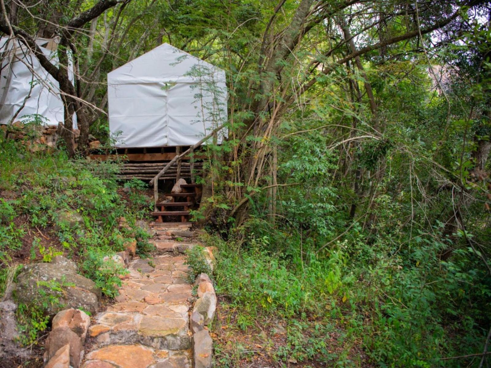 Riverbed Africa Lydenburg Δωμάτιο φωτογραφία